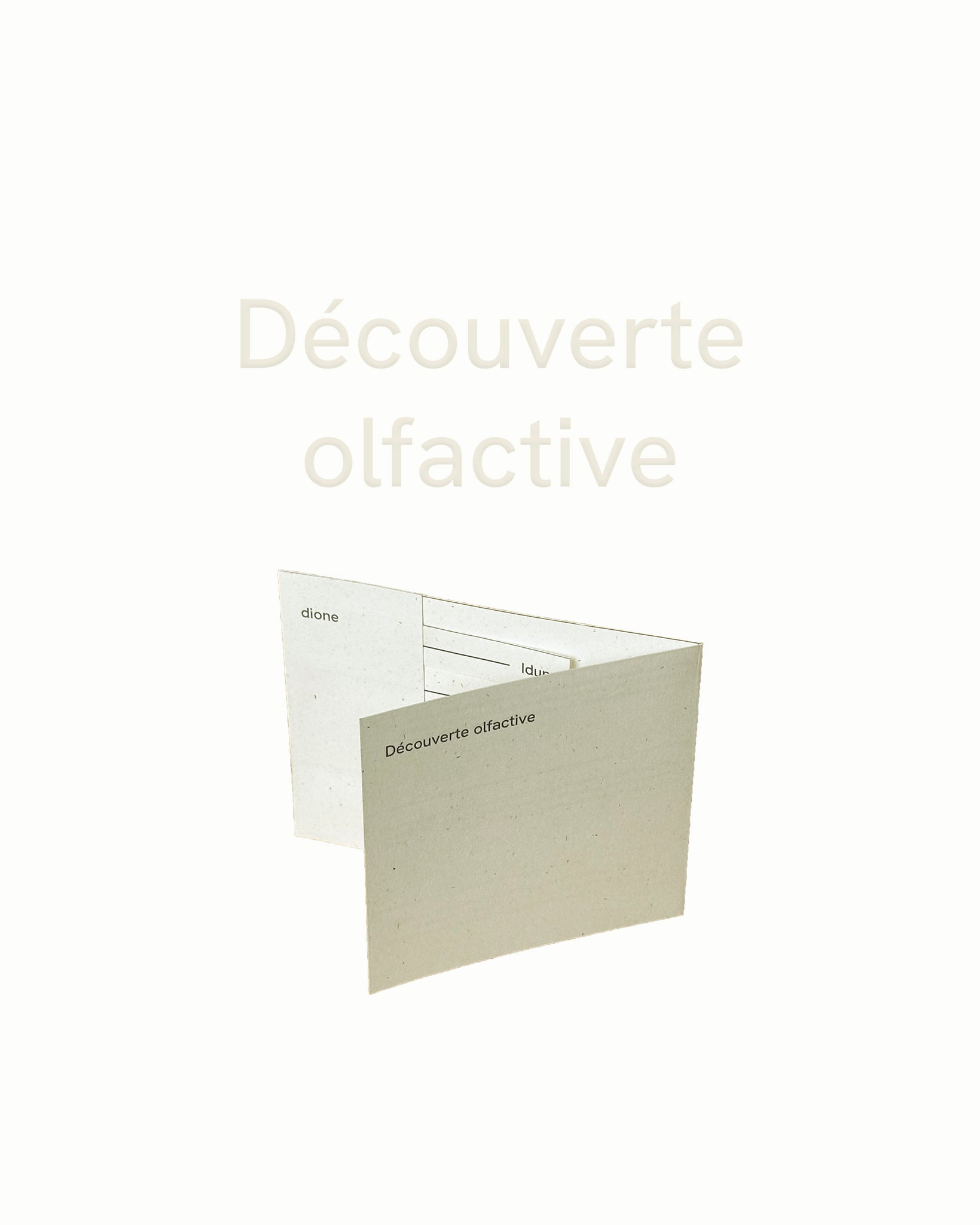 Découverte olfactive